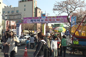 벚꽃 봉오리축제지만 많은 상춘객들이 찾고 있다. 